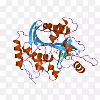 ���������߼�������-������