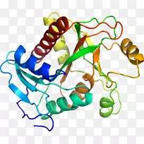 ÉúÎïÏß¶¯Îï¼ôÌù»Ïß-¿ÕÈôÍø ÉúÎïÏß¶¯Îï¼ôÌù»Ïß-¿ÕÈôÍø