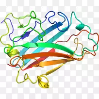 线点生物剪贴画线-空若网 线点生物剪贴画线-空若网
