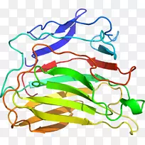 �ߵ������������-������