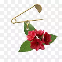 Paint.net博客-Mercerie-空若网 Paint.net博客-Mercerie-空若网