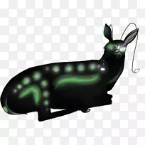 昆虫-空若网 昆虫-空若网