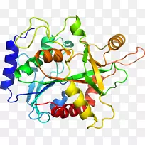蔬菜茎线夹艺术-蔬菜-空若网 蔬菜茎线夹艺术-蔬菜-空若网