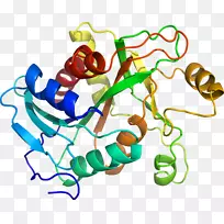 人体首饰有机体线剪贴画线-空若网 人体首饰有机体线剪贴画线-空若网