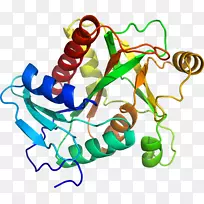 人体首饰有机体线剪贴画线-空若网 人体首饰有机体线剪贴画线-空若网