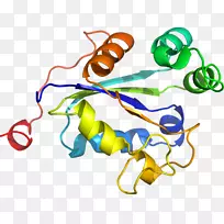 �����鱦���л����������-������