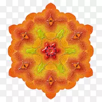 切花数学史橙花-空若网 切花数学史橙花-空若网