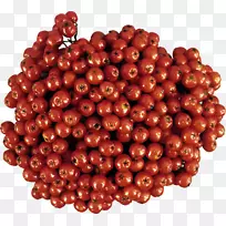 ����ɽ�-������