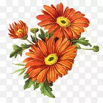 爱神-空若网 爱神-空若网