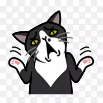 胡须猫鼻子夹艺术猫-空若网 胡须猫鼻子夹艺术猫-空若网