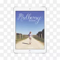 家庭教育-失学儿童学校-空若网 家庭教育-失学儿童学校-空若网