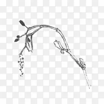 画线体首饰角线-空若网 画线体首饰角线-空若网