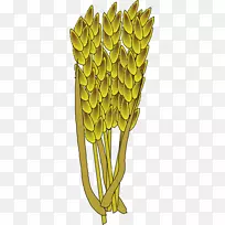 欧式小麦-空若网 欧式小麦-空若网