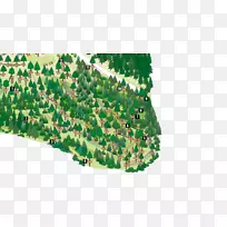 叶草树,生物群落科-湖苔-空若网 叶草树,生物群落科-湖苔-空若网