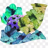 昆虫瓢虫下载-瓢虫-空若网 昆虫瓢虫下载-瓢虫-空若网