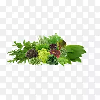 �߲��������۹�Ӧ��-�߲�-������