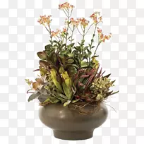 花卉设计花束橙花鲜花装饰软件安装-空若网 花卉设计花束橙花鲜花装饰软件安装-空若网