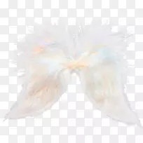 羽毛翼尾白羽-空若网 羽毛翼尾白羽-空若网
