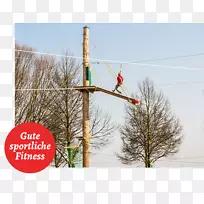 树冬天飞狐-空若网 树冬天飞狐-空若网