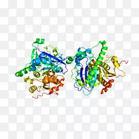 人体首饰有机体线剪贴画线-空若网 人体首饰有机体线剪贴画线-空若网