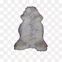 毛皮鼻-空若网 毛皮鼻-空若网