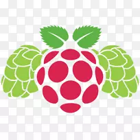 raspberry pi 3电脑图标电脑案例和外壳安全数字老学校-空若网 raspberry pi 3电脑图标电脑案例和外壳安全数字老学校-空若网