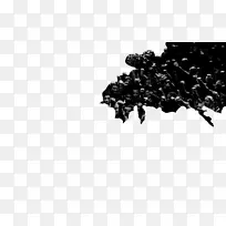 白色黑m字型树-空若网 白色黑m字型树-空若网