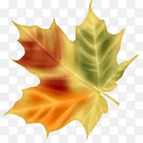 �߿����������滭������-������