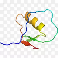 �ߵ������-��-������