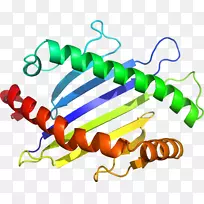 人体首饰有机体线剪贴画线-空若网 人体首饰有机体线剪贴画线-空若网