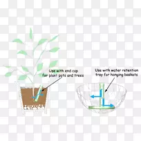 水叶-水-空若网 水叶-水-空若网