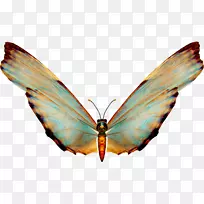 �������������-����-������