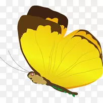 蝴蝶昆虫剪贴画-花精灵-空若网 蝴蝶昆虫剪贴画-花精灵-空若网