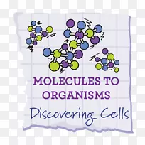科学、技术、工程和数学生物学生命物理学-科学-空若网 科学、技术、工程和数学生物学生命物理学-科学-空若网
