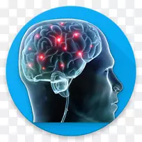 生理心理学神经科学疗法-智商-空若网 生理心理学神经科学疗法-智商-空若网