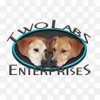 培育小狗鼻子-小狗-空若网 培育小狗鼻子-小狗-空若网