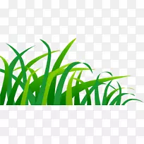 ��ɫ�ֻ��̲�-������