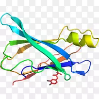 �ߵ������-��-������