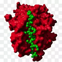 圣诞装饰品癌症疫苗-圣诞节-空若网 圣诞装饰品癌症疫苗-圣诞节-空若网