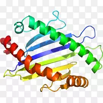 人体珠宝线有机体剪贴画线-空若网 人体珠宝线有机体剪贴画线-空若网