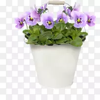 花边剪贴画-花-空若网 花边剪贴画-花-空若网