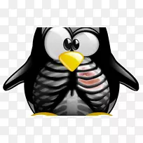 SUSE Linux发行版openSUSE json-linux-空若网 SUSE Linux发行版openSUSE json-linux-空若网