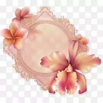 ���벩�ͼ�����-������-������