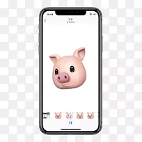 ���й滮ʦSnapeed iPhone·��-iphone-������