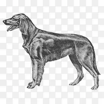 ������¬�������ֲ�����������Ȯ-������