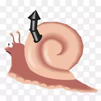 蜗牛腹足动物壳博客剪贴画-空若网 蜗牛腹足动物壳博客剪贴画-空若网