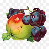 葡萄果实脱钩-空若网 葡萄果实脱钩-空若网