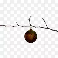 小枝钟树枝-空若网 小枝钟树枝-空若网