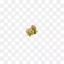 Í߯¬»¨ÎÆ-ºËÌÒ-¿ÕÈôÍø Í߯¬»¨ÎÆ-ºËÌÒ-¿ÕÈôÍø