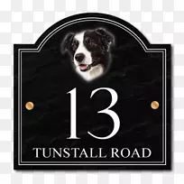 犬种边境牧羊犬拉布拉多猎犬澳大利亚牧羊犬粗糙牧羊犬-猫-空若网 犬种边境牧羊犬拉布拉多猎犬澳大利亚牧羊犬粗糙牧羊犬-猫-空若网